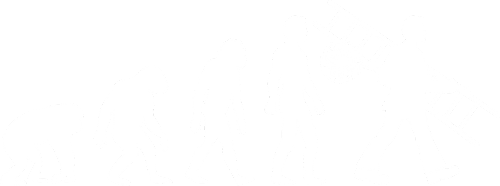 logo secondaire blanc joanny ramonnage installation sarlat dordogne